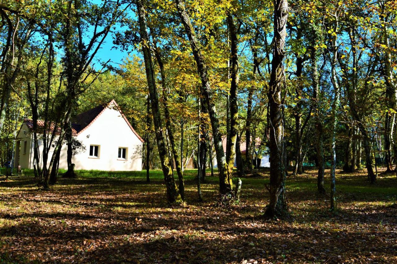 Gite Spa & Nature Saint-Chamassy エクステリア 写真