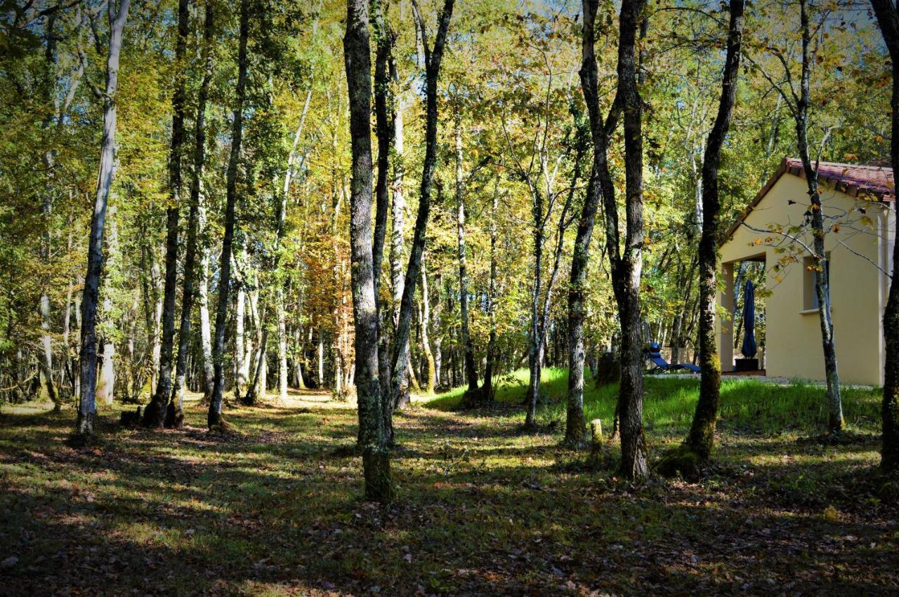 Gite Spa & Nature Saint-Chamassy エクステリア 写真